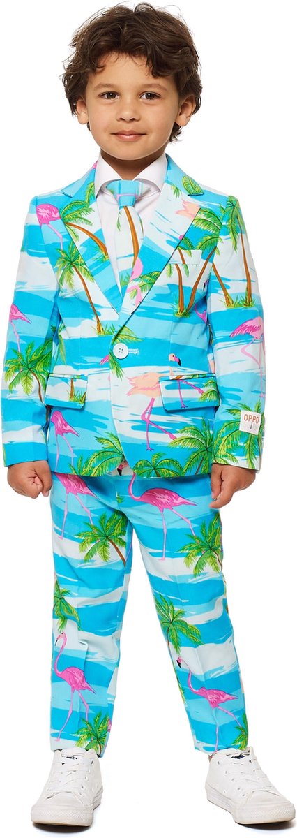 OppoSuits Flaminguy - Jongens Kostuum - Gekleurd - Carnaval - Maat 110/116