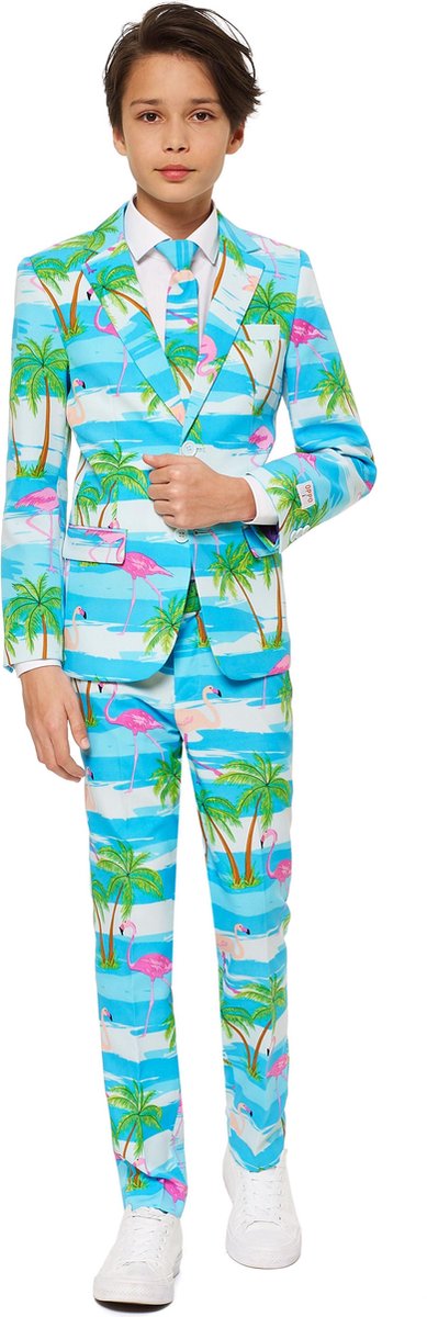 OppoSuits Flaminguy - Jongens Kostuum - Gekleurd - Carnaval - Maat 158/164