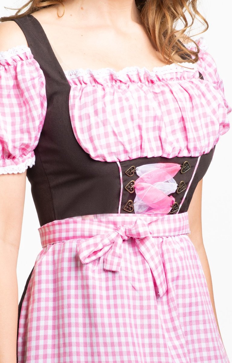 Partyxclusive Dirndl Anne-ruth Lang Dames Polyester Roze/bruin Mt M