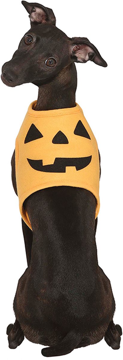 Fiestas Guirca - Pompoen kostuum voor de hond (Maat S) - Halloween - Halloween accessoires - Halloween verkleden