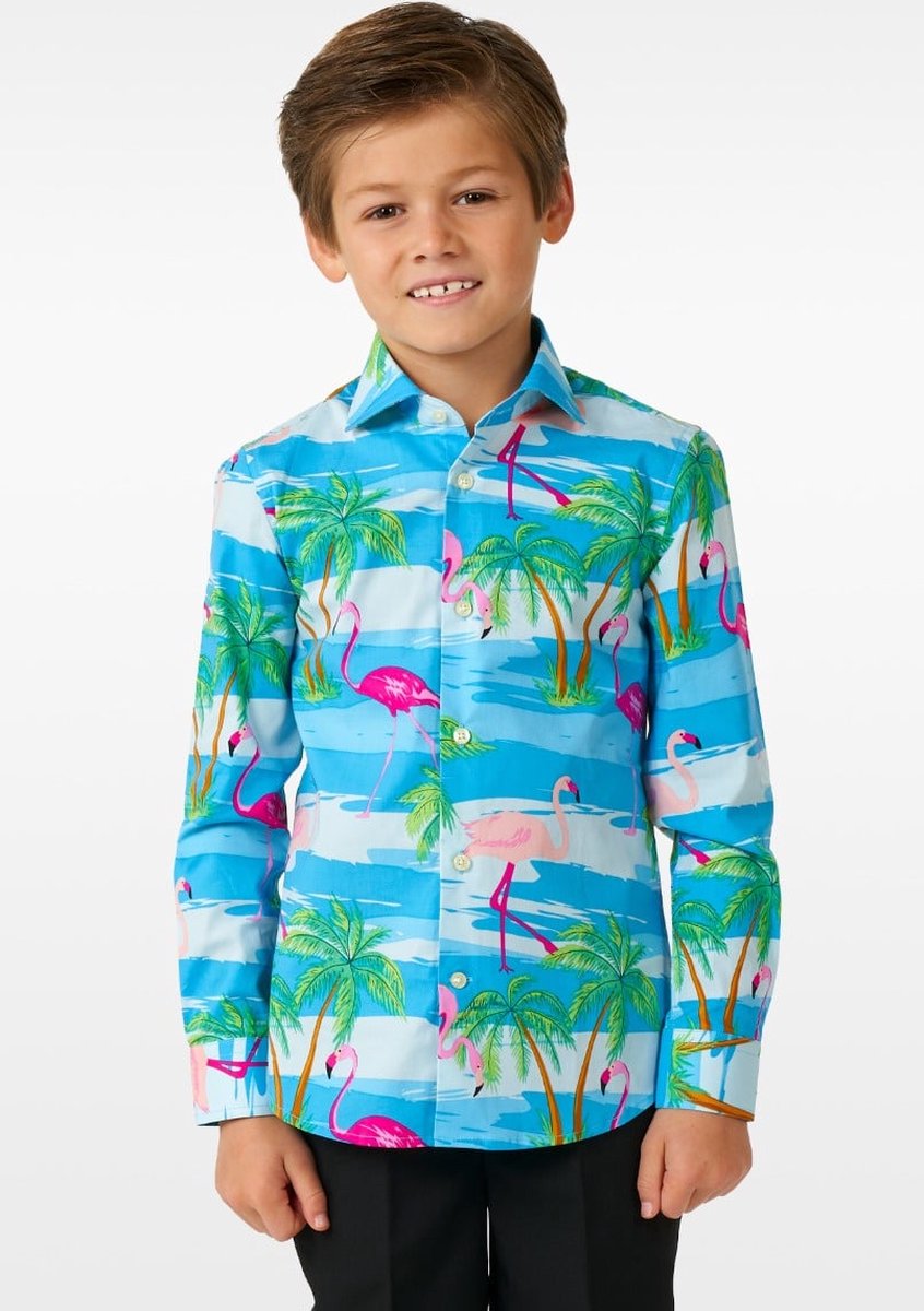 OppoSuits SHIRT LS Flaminguy Boys - Kids Carnavals Overhemd - Zomer Shirt - Mix Kleur - Maat 6 Jaar