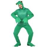 Groene kikker verkleed kostuum voor dames/heren