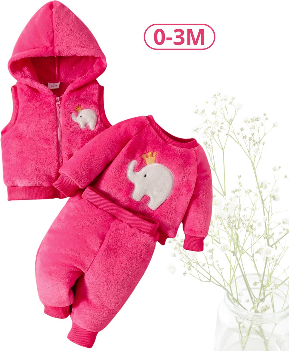 Livano 3-Delige Romper Baby - Berenpakje - Winterpak - Pakje - Jongen - Meisje - 0-3 Maanden - Roze