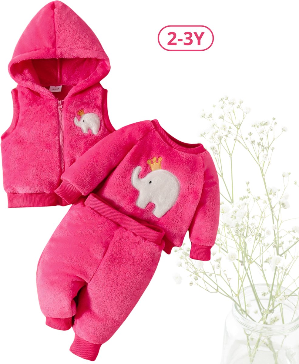 Livano 3-Delige Romper Baby - Berenpakje - Winterpak - Pakje - Jongen - Meisje - 2-3 Jaar - Roze