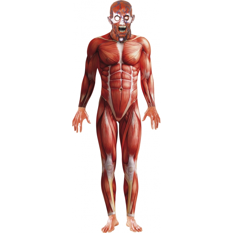 Carnaval/Halloween kostuum Anatomische man bodysuit - heren 48-50 (M) -