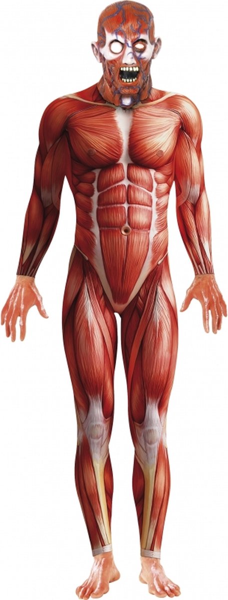 Carnaval/Halloween verkleedkleding kostuum Anatomische man horror bodysuit - heren - met masker 48/50