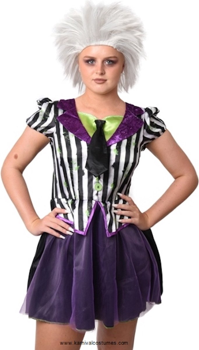 Karnival Costumes The Joker Kostuum Dames Halloween Kostuum voor Carnaval Carnavalskleding Dames - Paars - Polyester - Maat L - 1-Delig Jurk