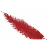 Hoofd struisvogelveer - rood - 40 cm - Charleston/jaren 20 -